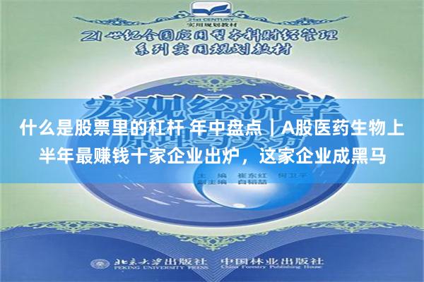 什么是股票里的杠杆 年中盘点｜A股医药生物上半年最赚钱十家企业出炉，这家企业成黑马
