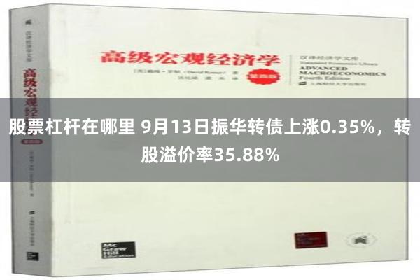 股票杠杆在哪里 9月13日振华转债上涨0.35%，转股溢价率35.88%