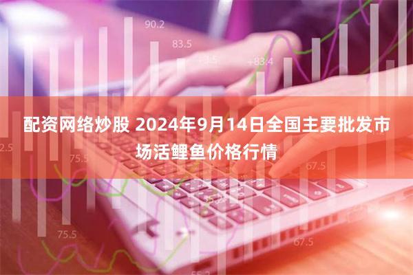 配资网络炒股 2024年9月14日全国主要批发市场活鲤鱼价格行情