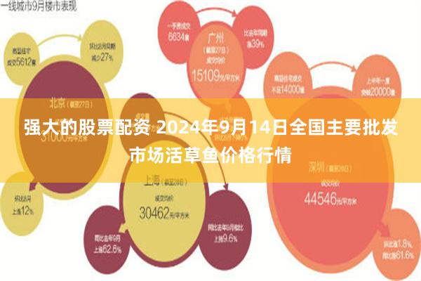 强大的股票配资 2024年9月14日全国主要批发市场活草鱼价格行情