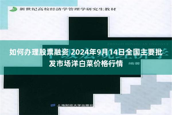 如何办理股票融资 2024年9月14日全国主要批发市场洋白菜价格行情