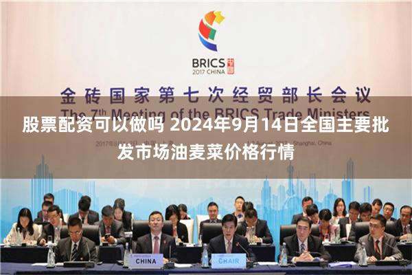 股票配资可以做吗 2024年9月14日全国主要批发市场油麦菜价格行情