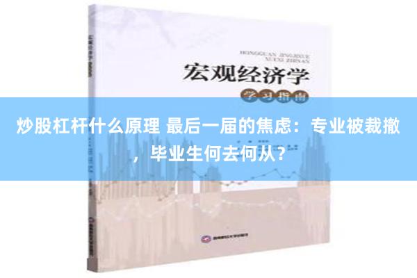 炒股杠杆什么原理 最后一届的焦虑：专业被裁撤，毕业生何去何从？
