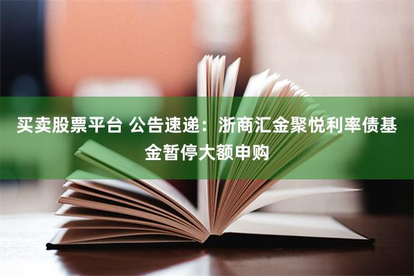 买卖股票平台 公告速递：浙商汇金聚悦利率债基金暂停大额申购