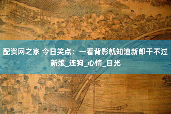 配资网之家 今日笑点：一看背影就知道新郎干不过新娘_连狗_心情_目光