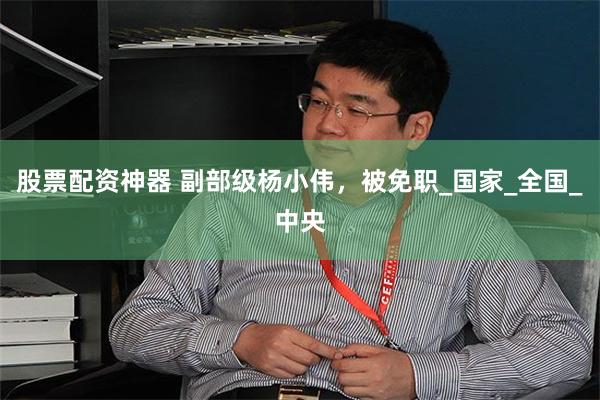股票配资神器 副部级杨小伟，被免职_国家_全国_中央