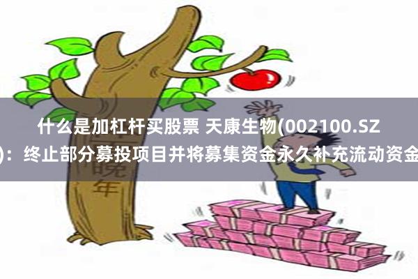 什么是加杠杆买股票 天康生物(002100.SZ)：终止部分募投项目并将募集资金永久补充流动资金