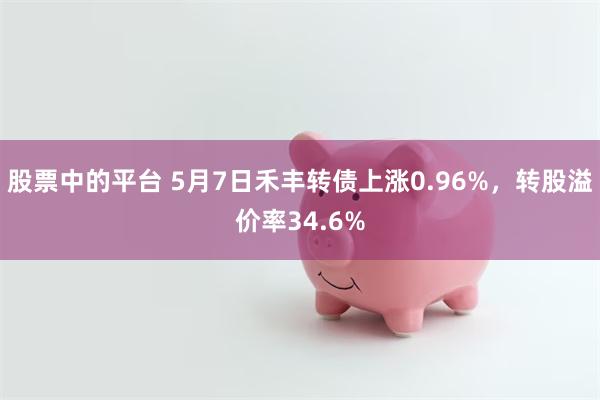 股票中的平台 5月7日禾丰转债上涨0.96%，转股溢价率34.6%