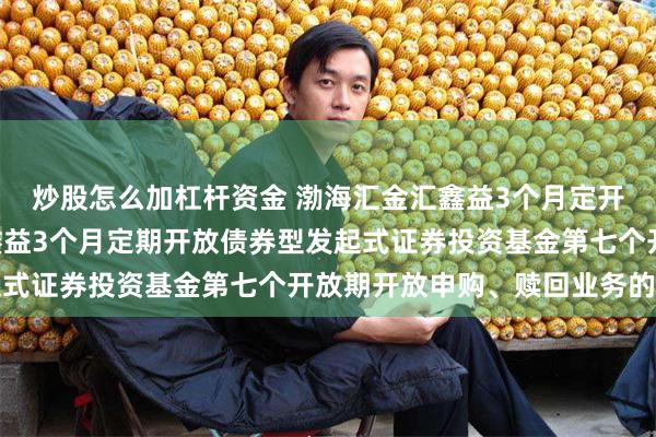 炒股怎么加杠杆资金 渤海汇金汇鑫益3个月定开债发起: 渤海汇金汇鑫益3个月定期开放债券型发起式证券投资基金第七个开放期开放申购、赎回业务的公告