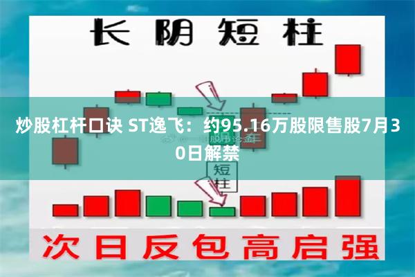 炒股杠杆口诀 ST逸飞：约95.16万股限售股7月30日解禁