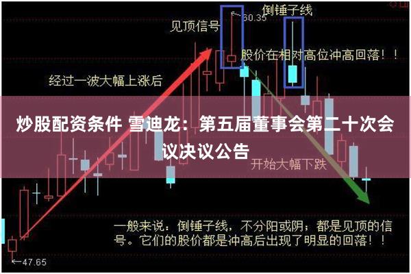 炒股配资条件 雪迪龙：第五届董事会第二十次会议决议公告