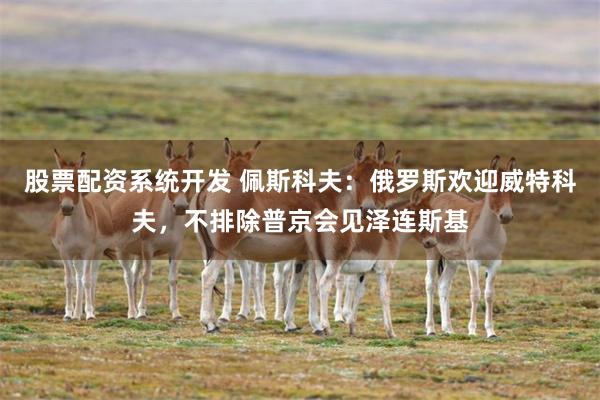 股票配资系统开发 佩斯科夫：俄罗斯欢迎威特科夫，不排除普京会见泽连斯基