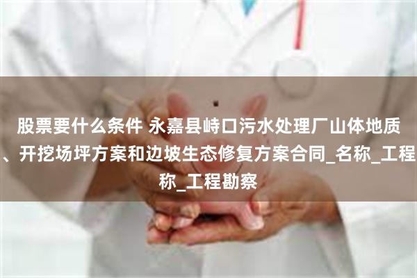 股票要什么条件 永嘉县峙口污水处理厂山体地质勘查、开挖场坪方案和边坡生态修复方案合同_名称_工程勘察