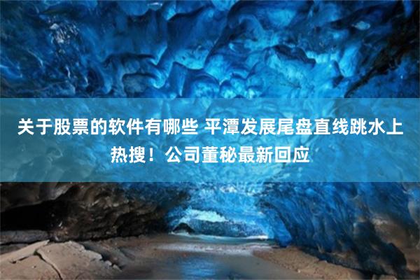 关于股票的软件有哪些 平潭发展尾盘直线跳水上热搜!公司董秘最新回应