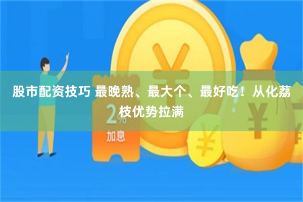 股市配资技巧 最晚熟、最大个、最好吃！从化荔枝优势拉满