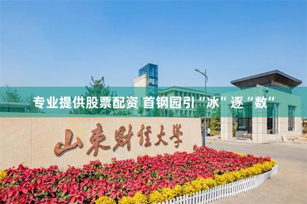 专业提供股票配资 首钢园引“冰”逐“数”