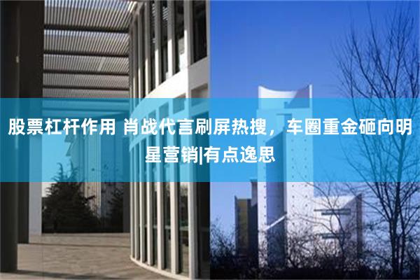 股票杠杆作用 肖战代言刷屏热搜，车圈重金砸向明星营销|有点逸思
