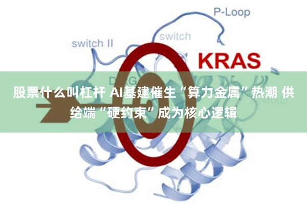 股票什么叫杠杆 AI基建催生“算力金属”热潮 供给端“硬约束”成为核心逻辑