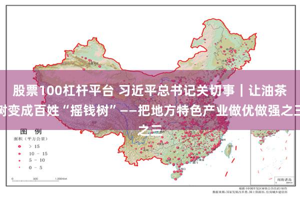 股票100杠杆平台 习近平总书记关切事｜让油茶树变成百姓“摇钱树”——把地方特色产业做优做强之三