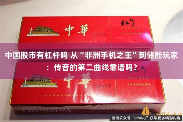 中国股市有杠杆吗 从“非洲手机之王”到储能玩家：传音的第二曲线靠谱吗？
