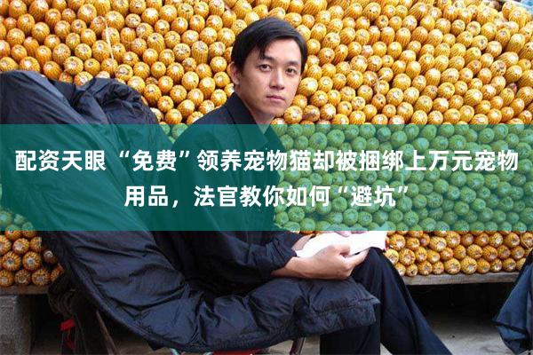 配资天眼 “免费”领养宠物猫却被捆绑上万元宠物用品，法官教你如何“避坑”
