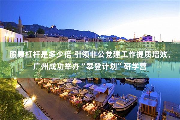 股票杠杆是多少倍 引领非公党建工作提质增效，广州成功举办“攀登计划”研学营