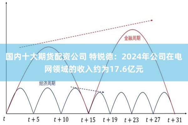 国内十大期货配资公司 特锐德:2024年公司在电网领域的收入约为17.6亿元
