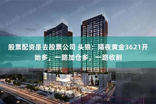 股票配资是去股票公司 头狼：隔夜黄金3621开始多，一路加仓多，一路收割