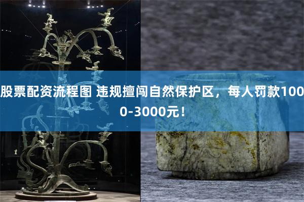 股票配资流程图 违规擅闯自然保护区,每人罚款1000-3000元!