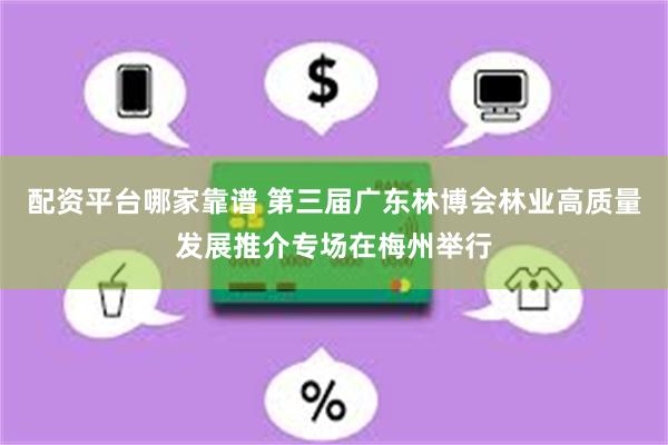配资平台哪家靠谱 第三届广东林博会林业高质量发展推介专场在梅州举行