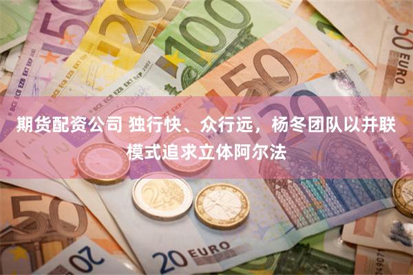 期货配资公司 独行快、众行远，杨冬团队以并联模式追求立体阿尔法