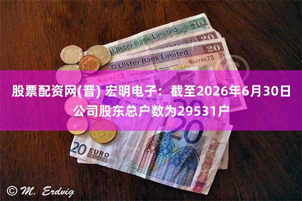 股票配资网(晋) 宏明电子：截至2026年6月30日公司股东总户数为29531户