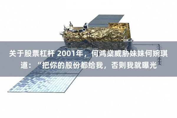 关于股票杠杆 2001年，何鸿燊威胁妹妹何婉琪道：“把你的股份都给我，否则我就曝光