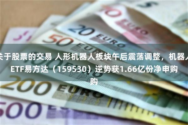关于股票的交易 人形机器人板块午后震荡调整，机器人ETF易方达（159530）逆势获1.66亿份净申购