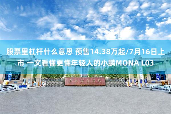 股票里杠杆什么意思 预售14.38万起/7月16日上市 一文看懂更懂年轻人的小鹏MONA L03
