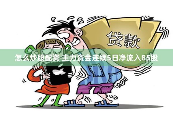 怎么炒股配资 主力资金连续5日净流入85股