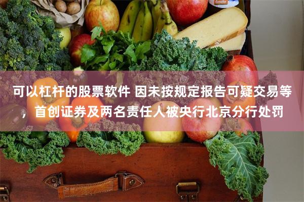 可以杠杆的股票软件 因未按规定报告可疑交易等，首创证券及两名责任人被央行北京分行处罚