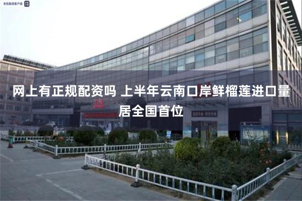 网上有正规配资吗 上半年云南口岸鲜榴莲进口量居全国首位