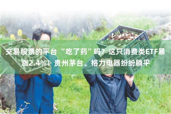 交易股票的平台 “吃了药”吗？这只消费类ETF暴涨2.4%！贵州茅台、格力电器纷纷躺平
