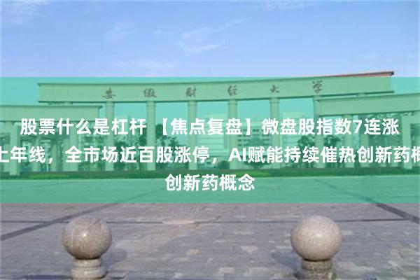 股票什么是杠杆 【焦点复盘】微盘股指数7连涨站上年线，全市场近百股涨停，AI赋能持续催热创新药概念
