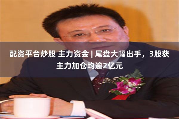 配资平台炒股 主力资金 | 尾盘大幅出手,3股获主力加仓均逾2亿元