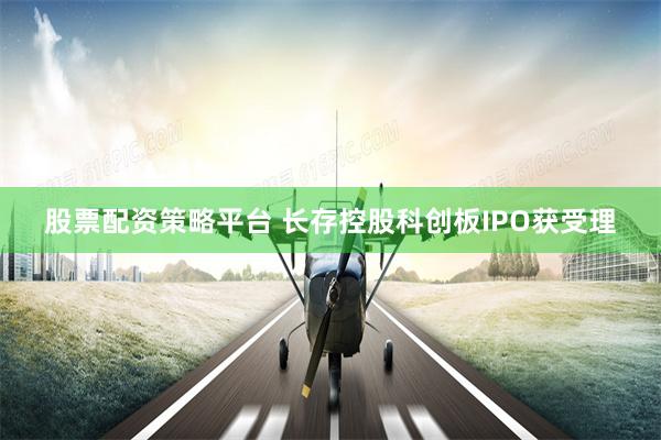 股票配资策略平台 长存控股科创板IPO获受理
