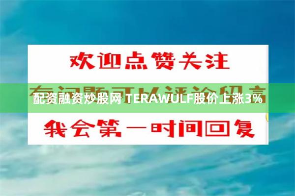 配资融资炒股网 TERAWULF股价上涨3%