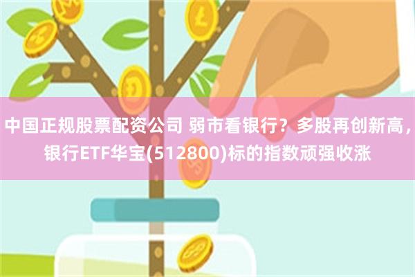 中国正规股票配资公司 弱市看银行？多股再创新高，银行ETF华宝(512800)标的指数顽强收涨