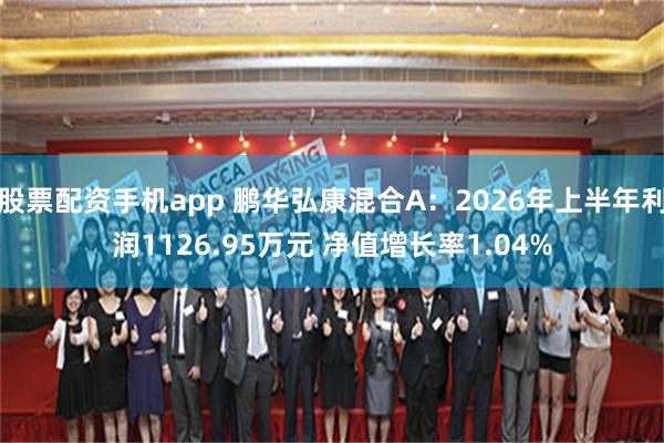 股票配资手机app 鹏华弘康混合A：2026年上半年利润1126.95万元 净值增长率1.04%