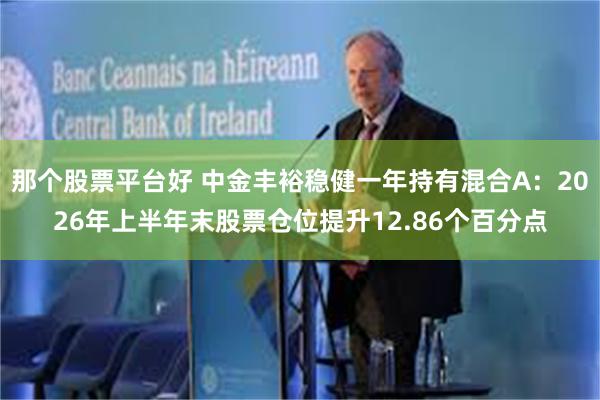 那个股票平台好 中金丰裕稳健一年持有混合A：2026年上半年末股票仓位提升12.86个百分点