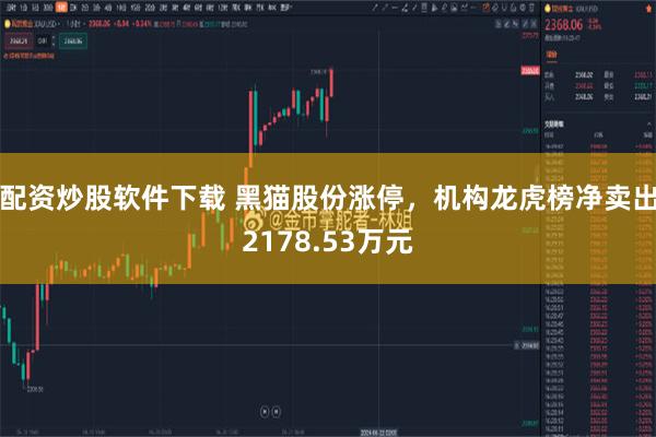 配资炒股软件下载 黑猫股份涨停，机构龙虎榜净卖出2178.53万元