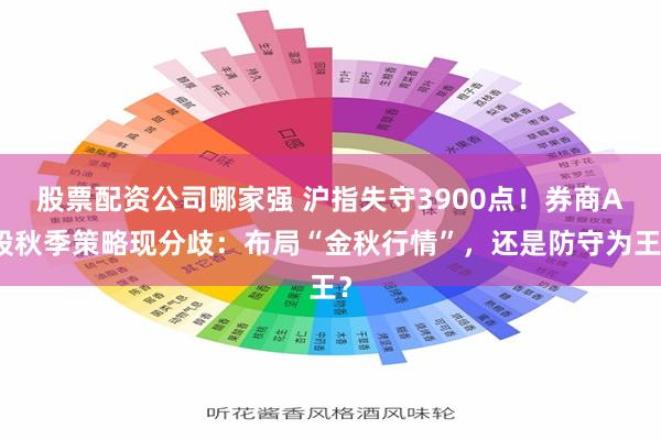 股票配资公司哪家强 沪指失守3900点！券商A股秋季策略现分歧：布局“金秋行情”，还是防守为王？