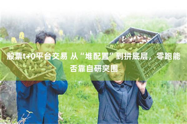 股票t+0平台交易 从“堆配置”到拼底层，零跑能否靠自研突围