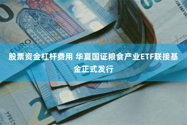 股票资金杠杆费用 华夏国证粮食产业ETF联接基金正式发行